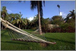 tropical hammock - 渡渡鸟 .