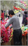 flower salesman