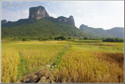 guangxi landscape - 渡渡鸟 .
